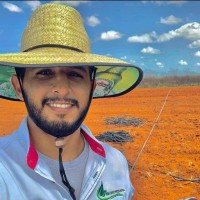Renato Domingos