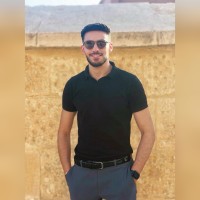 Mostafa Elguerdawi