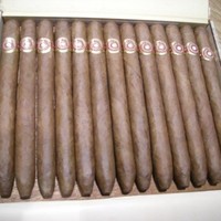 C.gars Ltd Mitchell Orchant