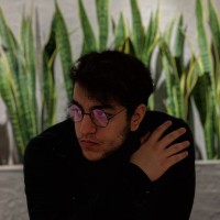 Mohammad Javad Hosseini