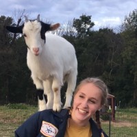 Erin Mcree