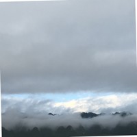 胡忠云