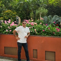 Rajan Sachdeva
