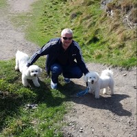 Allan Robson
