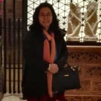 Xia Limin