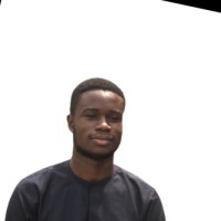 Okunrobo David