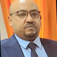 Dawit Mesfin