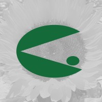 Genesis Seeds Ltd. Ashalim, Israel