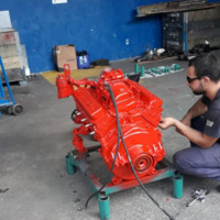 Denner Lorenzo