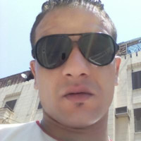 Ayman Saied