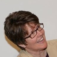Lisa Havlin