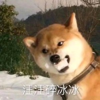 李政华