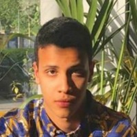 Anas Mendoub