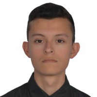 Daniel Ricardo Mendivelso Velandia