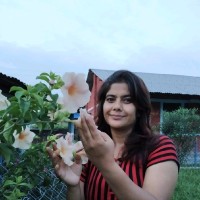 sushila rijal