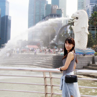 Tina Han