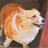 李守成