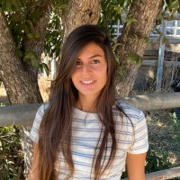 Sapir Pashali