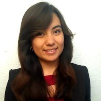 Maria Fernanda Herrera Villicaña