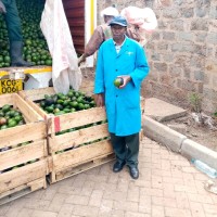 JOHNSON MUGO