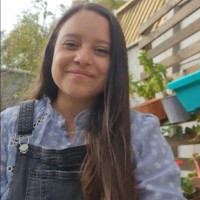 Paula Alvarez Fuentes