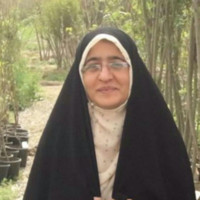 Kosar Akhavan