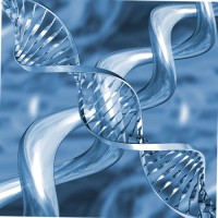 Molecular Biology Genetics