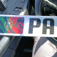 Paulo Pardal