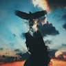 Alone Eagle