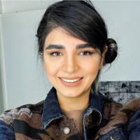 Shaghayegh Gholipour