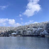 尹明明