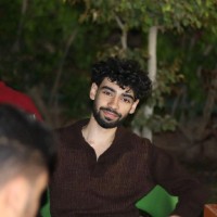 Amr Waled