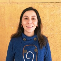 Constanza Fariña Beiza