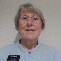 Cindy Jarvis