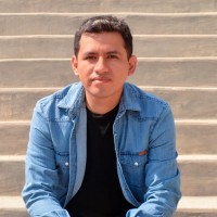 Joseph Lynch Palomino