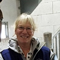 Mollis Persson