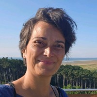 Annemarieke Loth