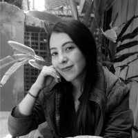 Diana Yareli Talavera Ibarra