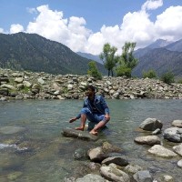 Md Modassir