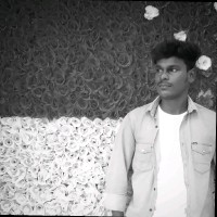 Mohan Raj M