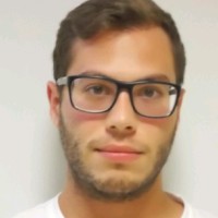 Stefano Gregis