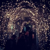 Jose Lizarraga