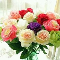 Chemist Soomro