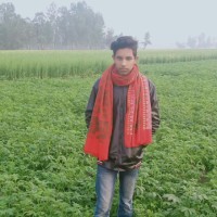 Shamim Hossain