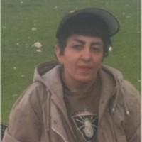 Shamsiyeh Dousti