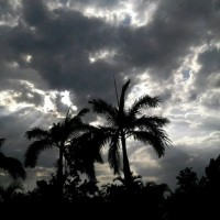 Vignesh M