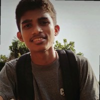Fernandes K J