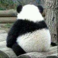 张立发