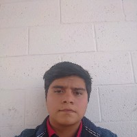 Brandon Beltran