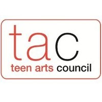 Mfa Teen Arts Council